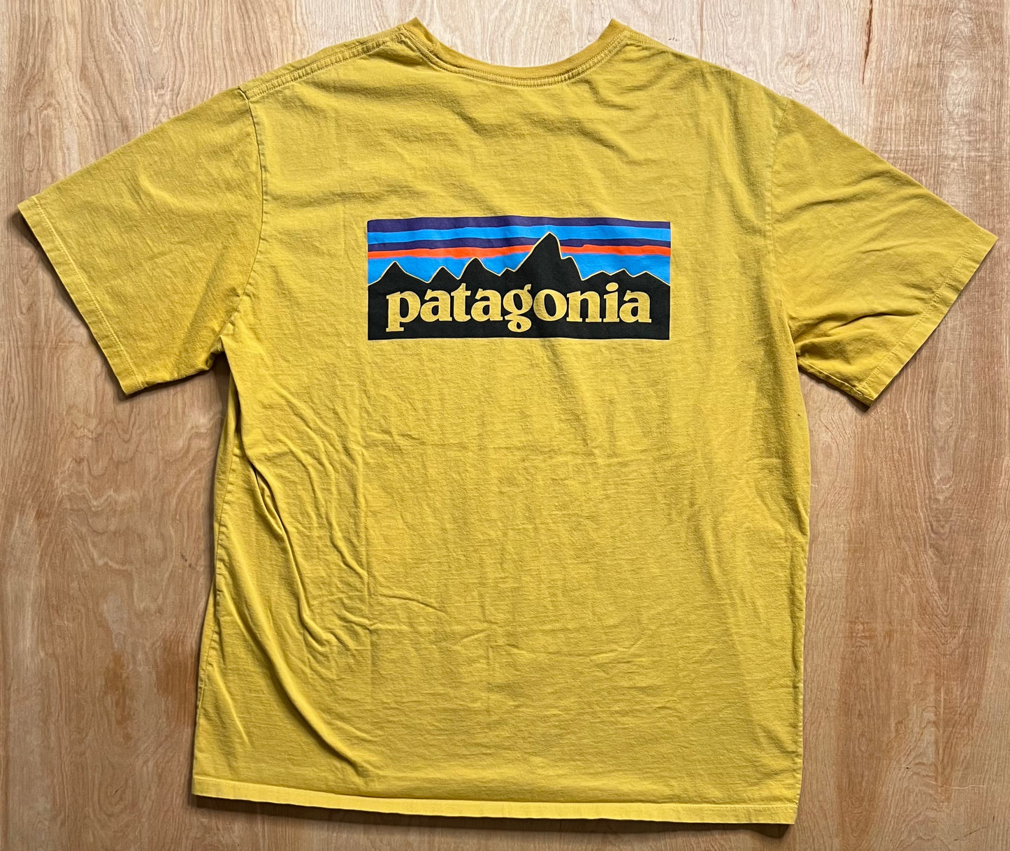 Modern Patagonia Organic Cotton T-Shirt