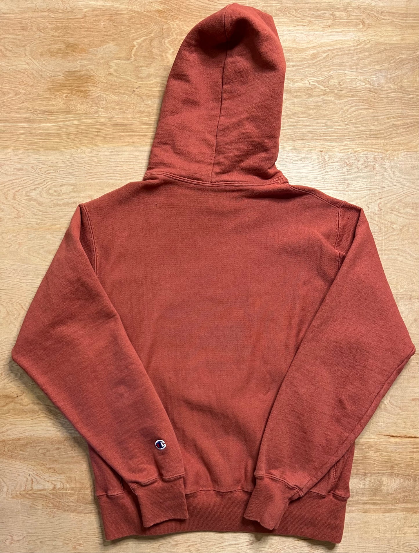 Modern Champion Reverse Weave Hoodie