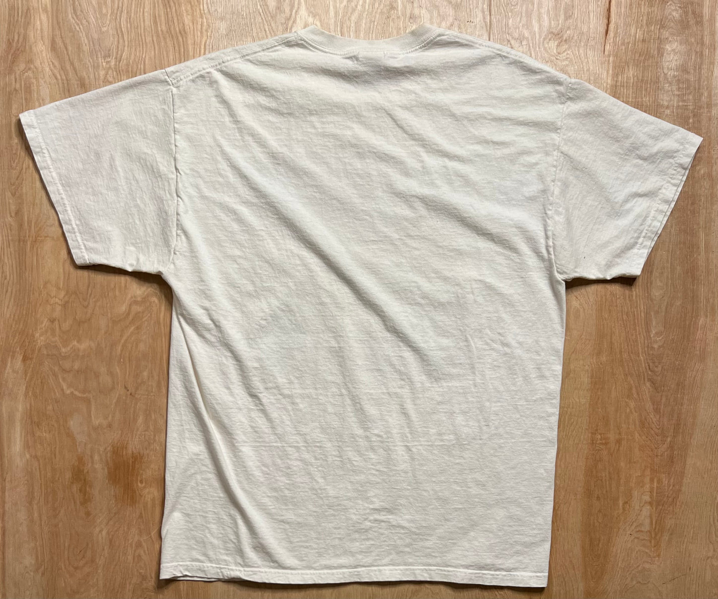 Y2K Cedar Lake Speedway New Richmond, WI T-Shirt