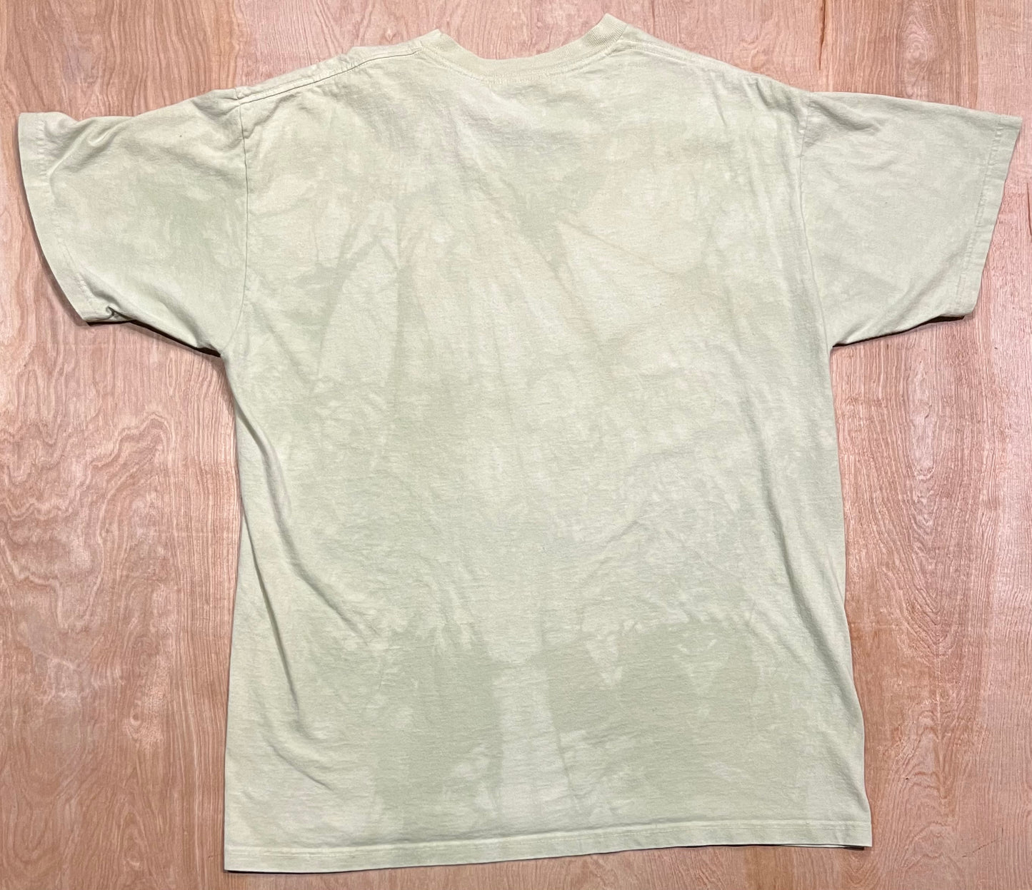 2000 Carol Grigg's "Lost Tribes II" The Mountain T-Shirt