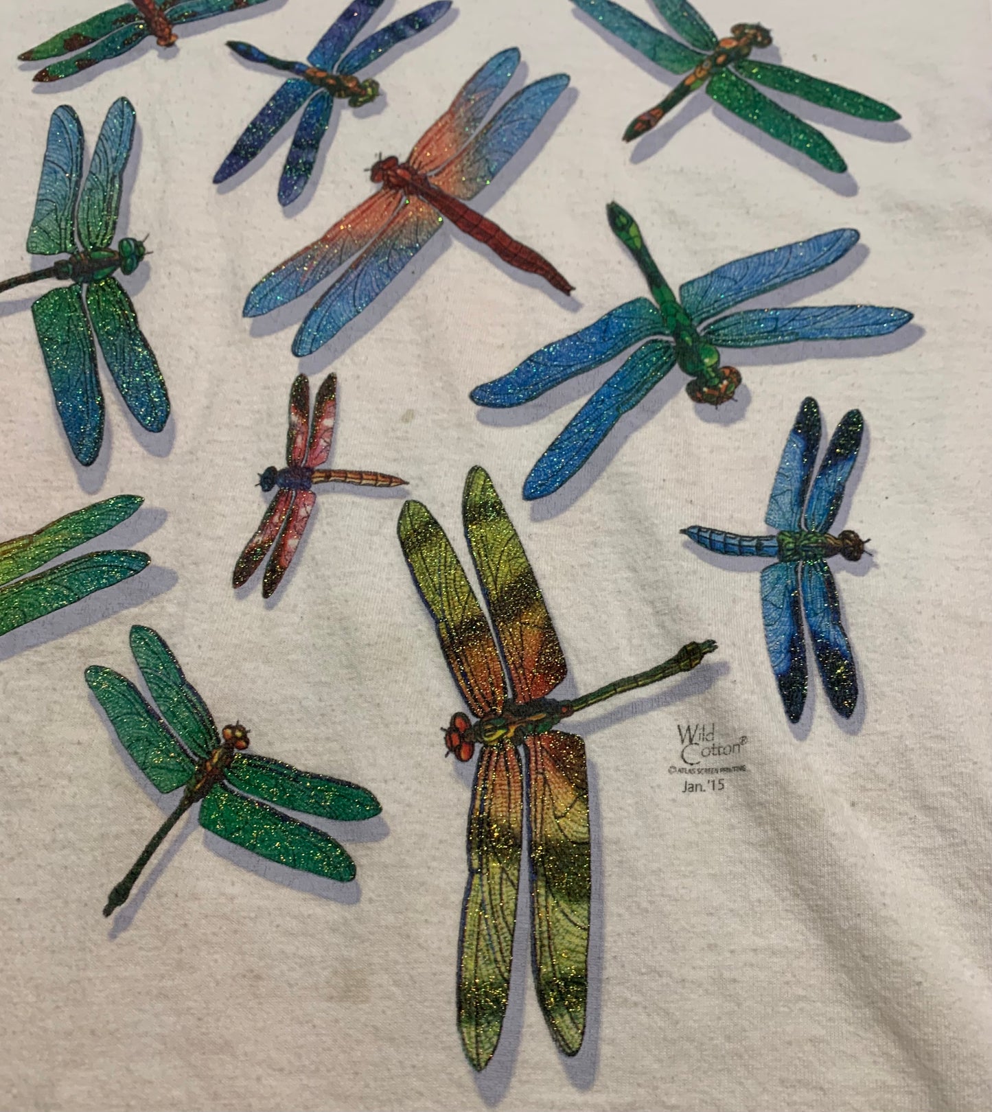 2002 Wisconsin Interstate Park Dragonfly T-Shirt