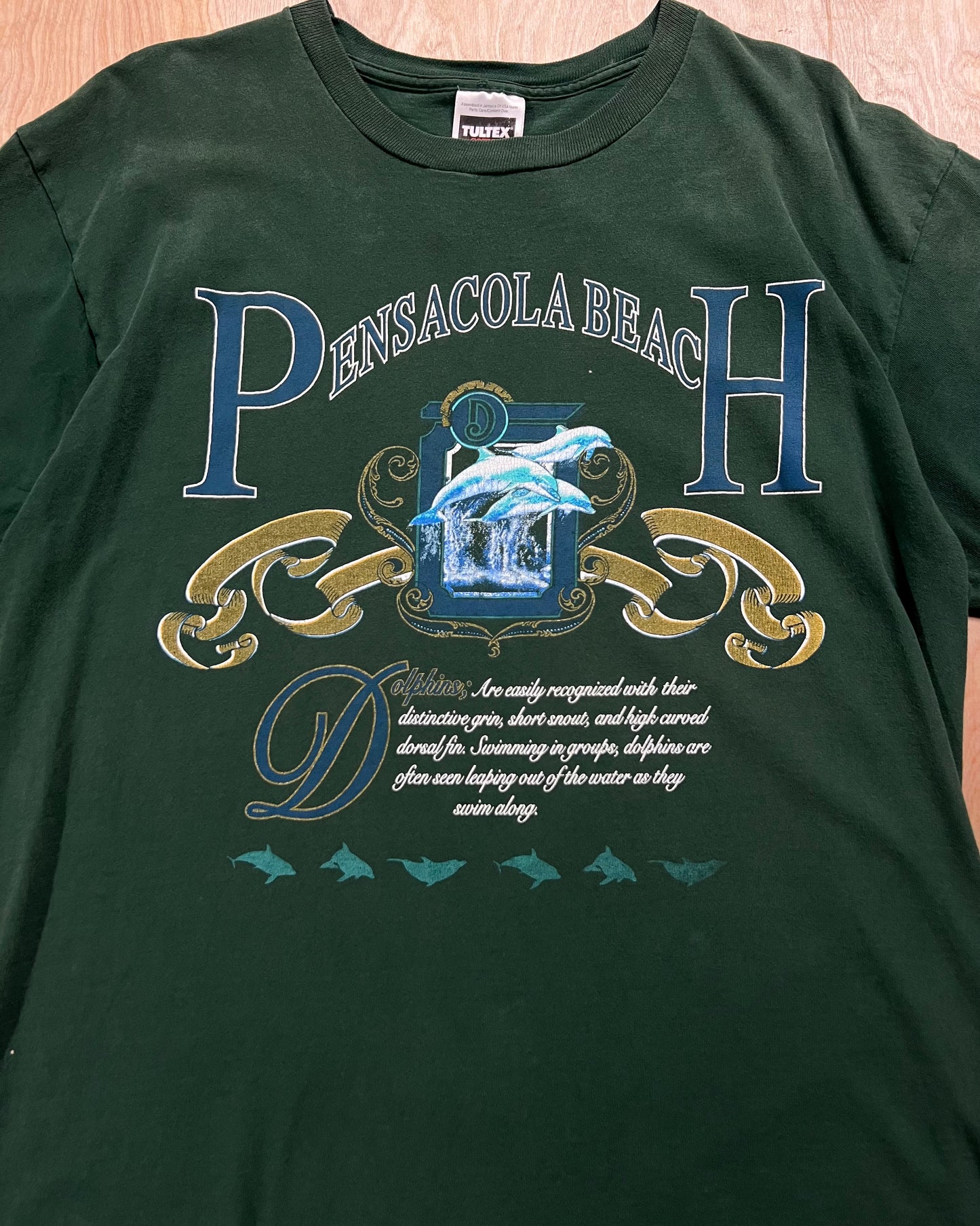 1990's Faded Pensacola Beach x Dolphins Single Stitch T-Shirt