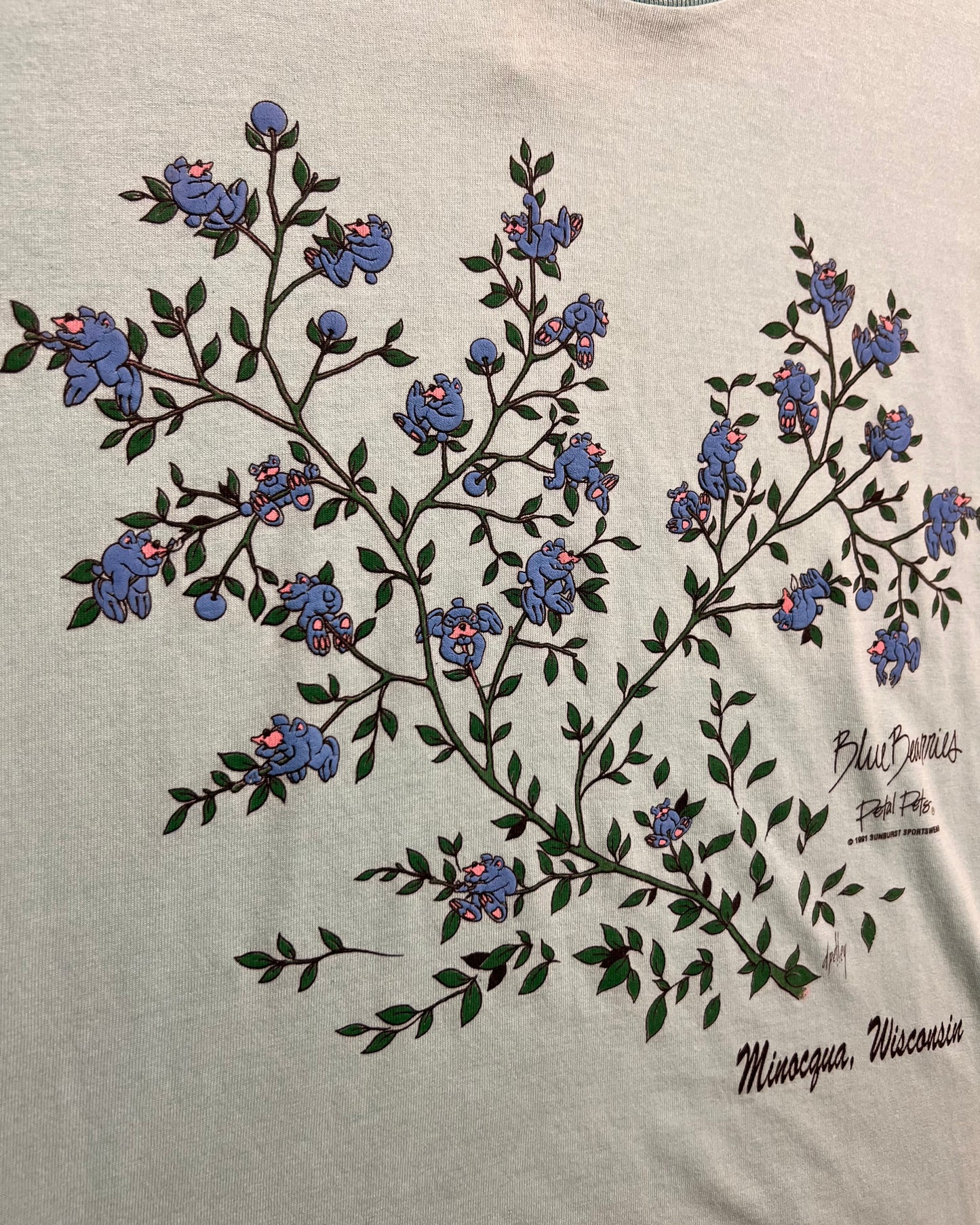 Early 1990's "Blue Bearries" Micocqua, Wisconsin Single Stitch T-Shirt