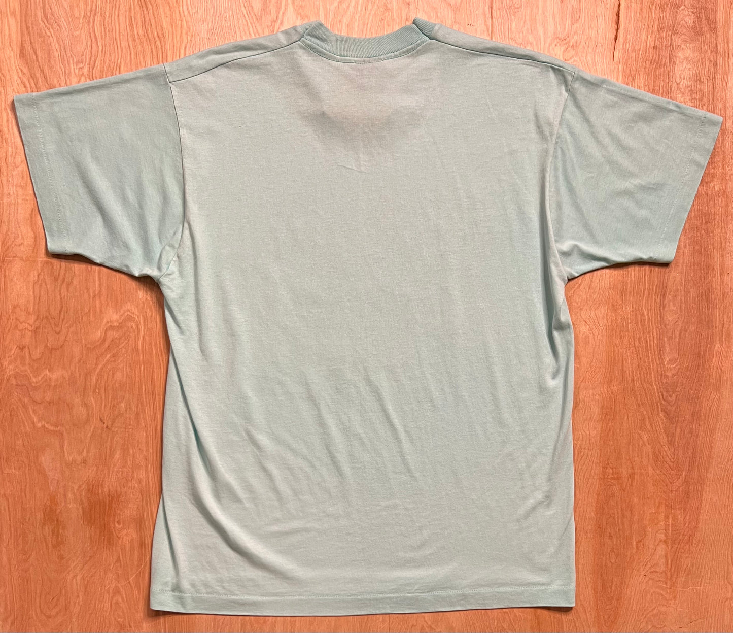 Early 1990's "Blue Bearries" Micocqua, Wisconsin Single Stitch T-Shirt