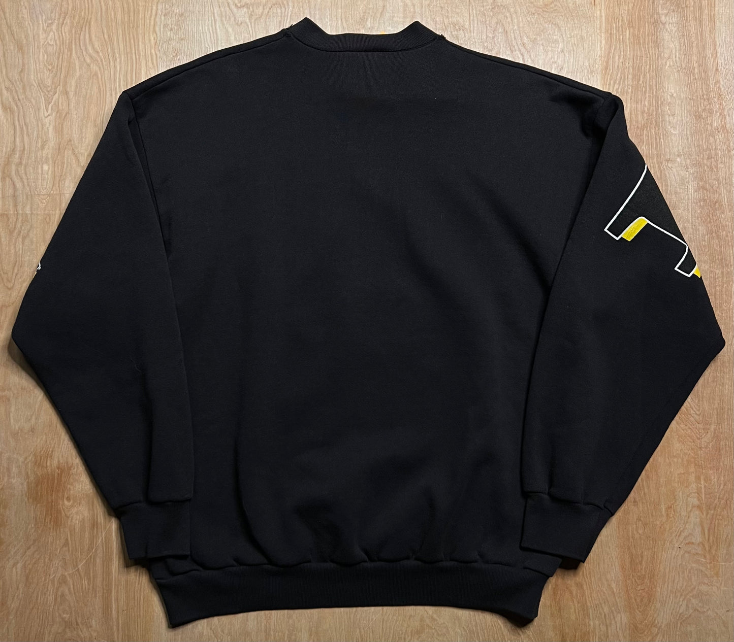 1990's University of Iowa Hawkeyes Crewneck