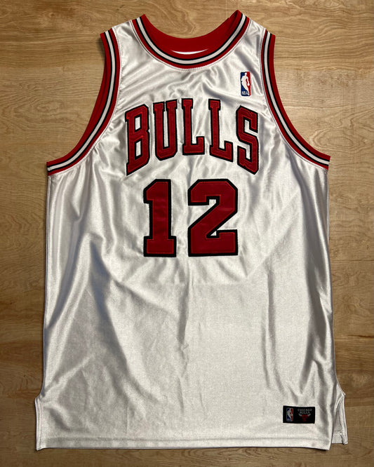 2000's Kirk Hinrich Chicago Bulls NBA Jersey
