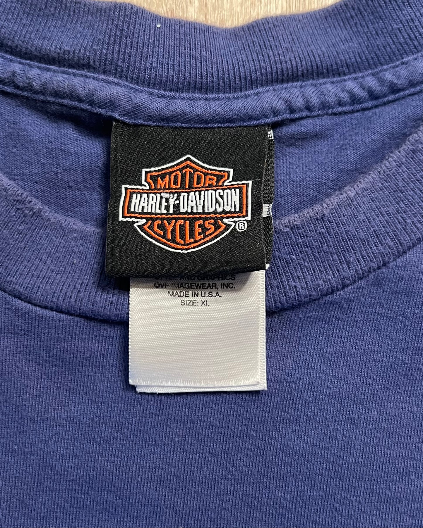 2008 Harley Davidson Legendary Motorcycles Orlando, Florida T-Shirt