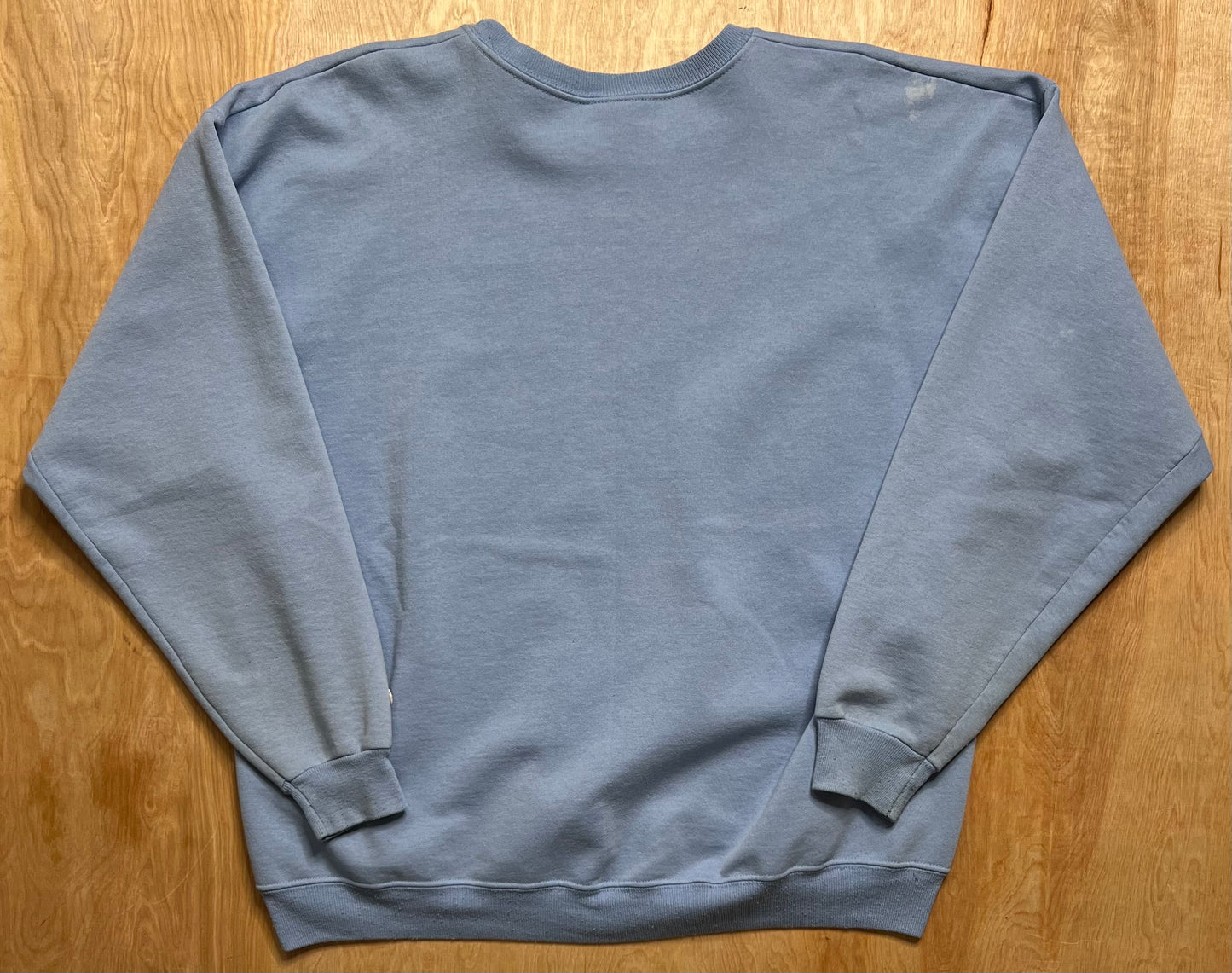 1990's Champion Sky Blue Crewneck