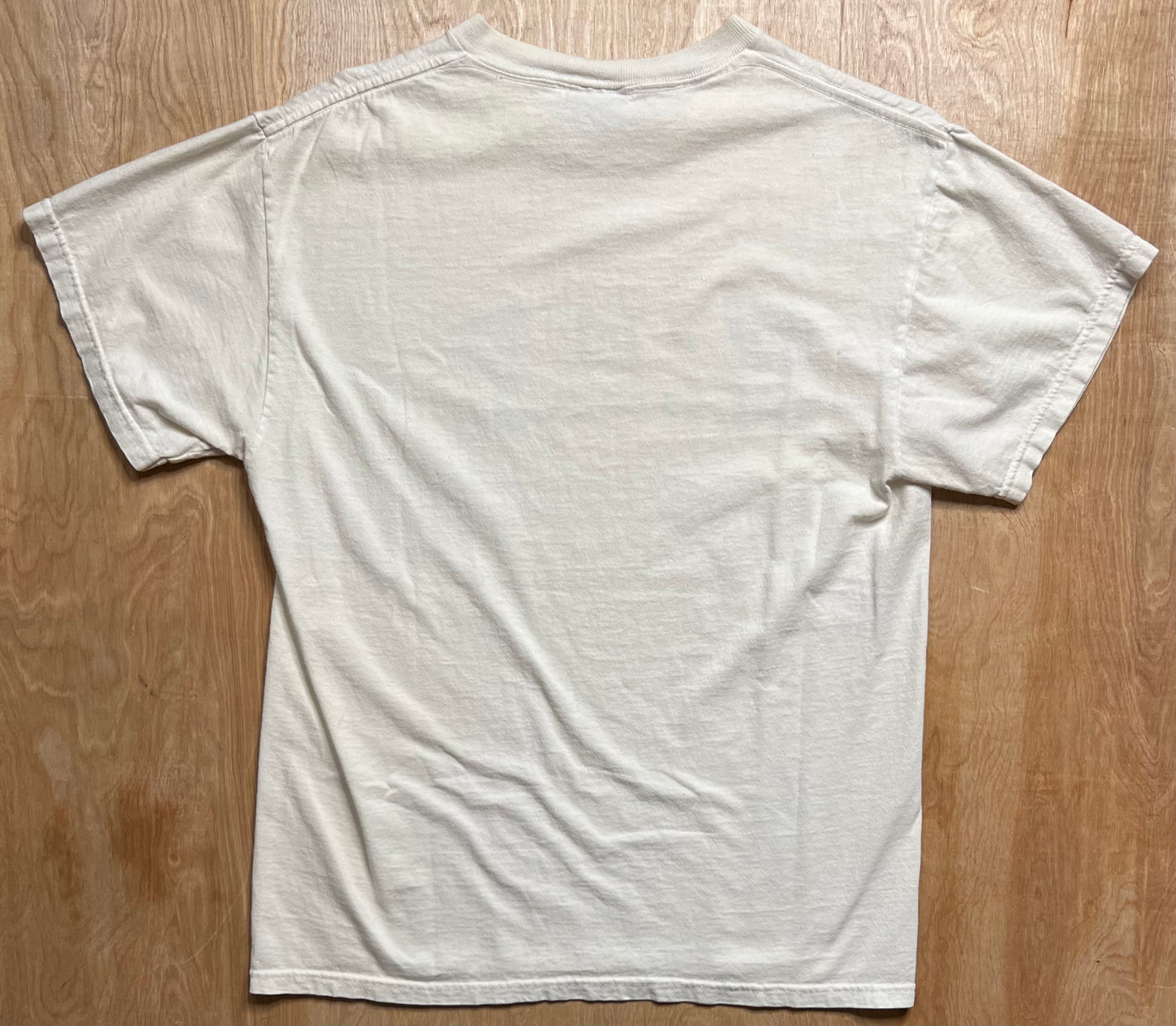 Early 2000's Nike T-Shirt