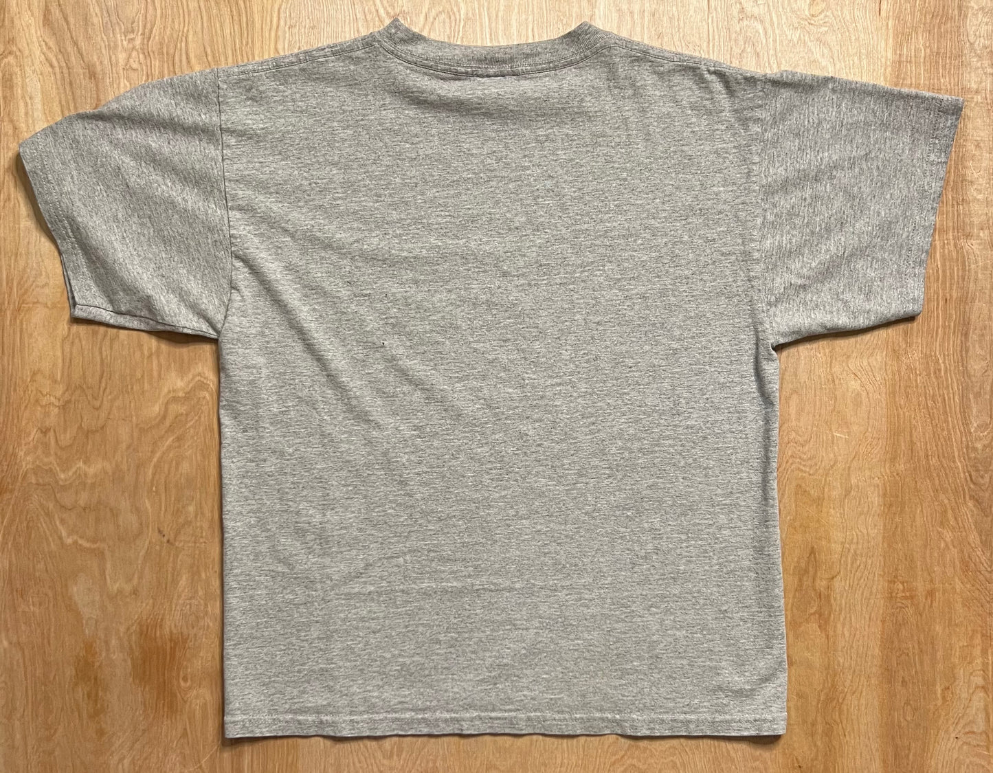 Early 2000's Nike T-Shirt