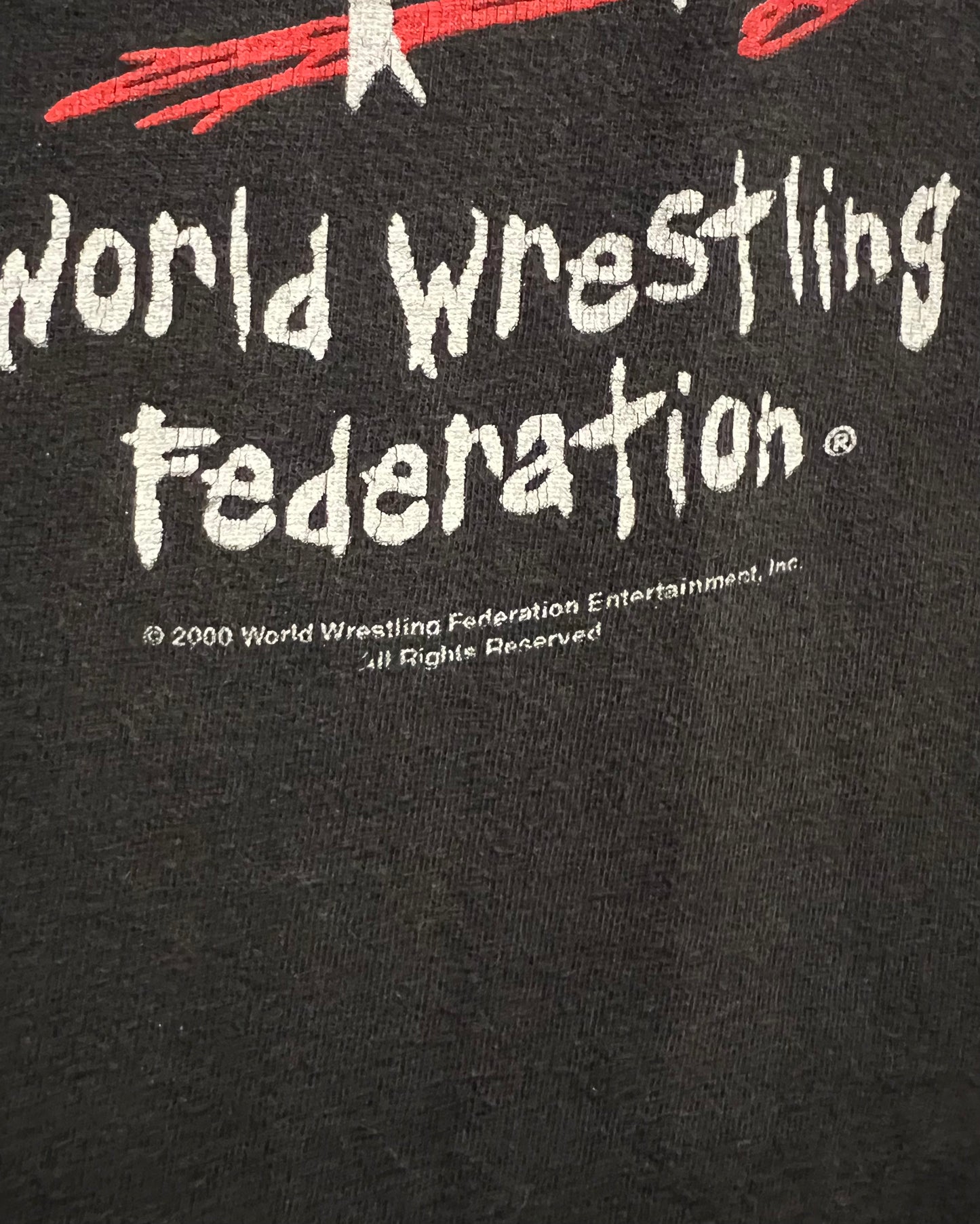 2000 World Wrestling Federation Stone Cold X The Rock X Y2J T-Shirt