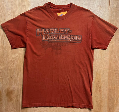 2000's Distressed Harley Davidson Alamo City T-Shirt