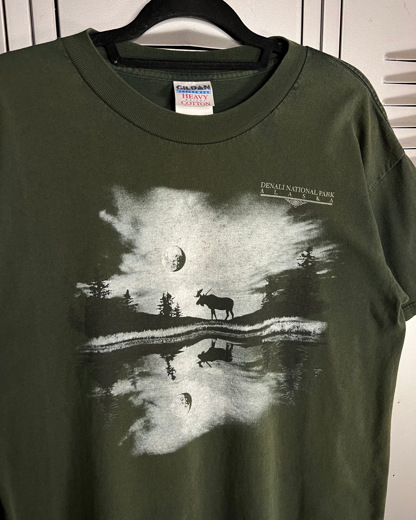 1990s Faded Denali National Park Alaska T-Shirt