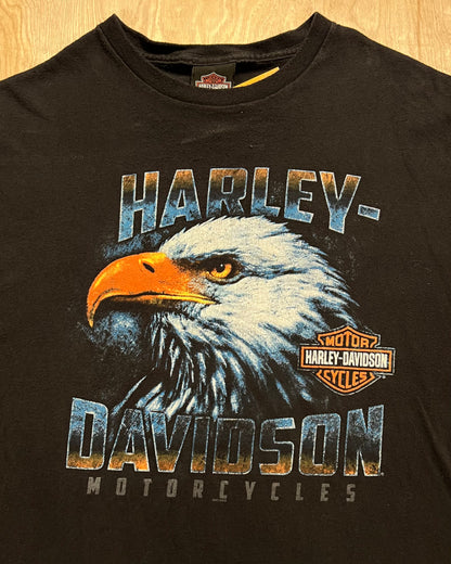 Harley Davidson Eagle Rice Lake, Wisconsin T-Shirt