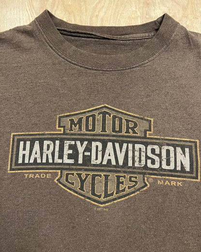 2000's Harley Davidson Big Sky, Montana T-Shirt