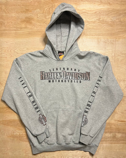 2000's Harley Davidson "Open Road" Fond du Lac, Wisconsin Hoodie