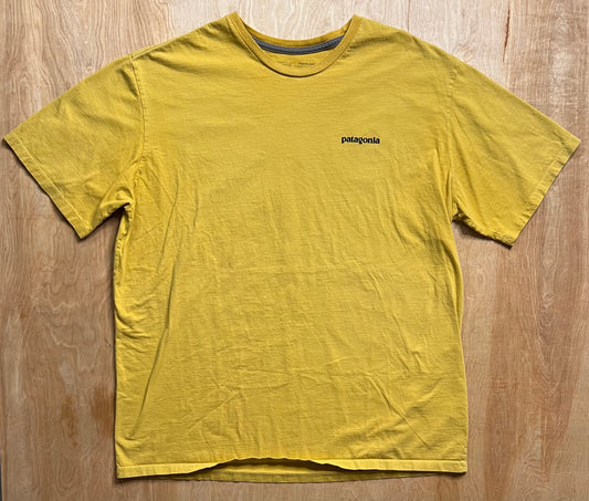 Modern Patagonia Organic Cotton T-Shirt