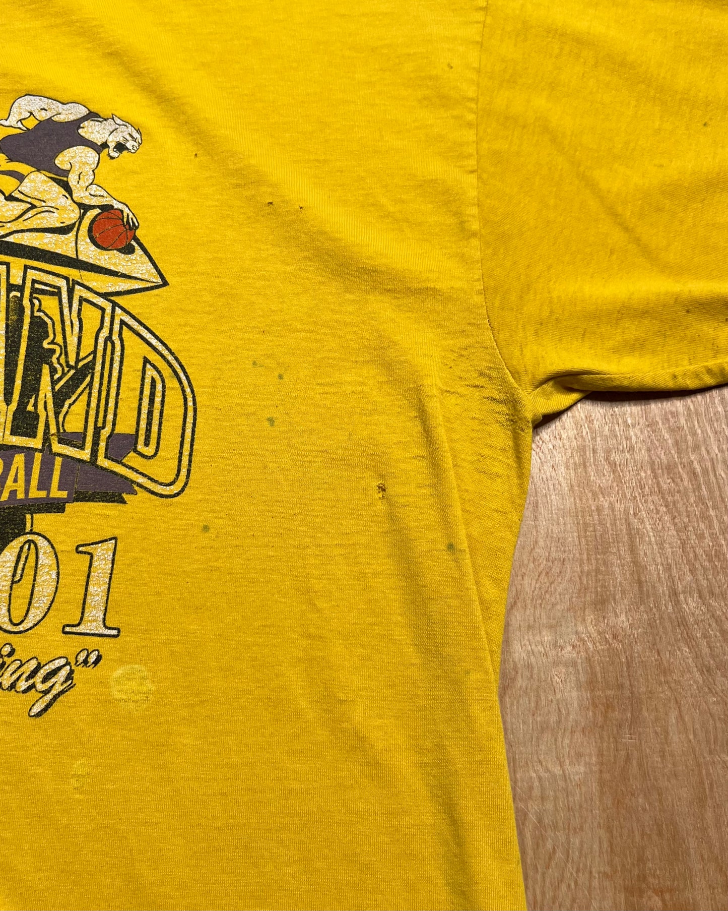 2001 "Still Soaring" Durand Panthers Boys Basketball T-Shirt