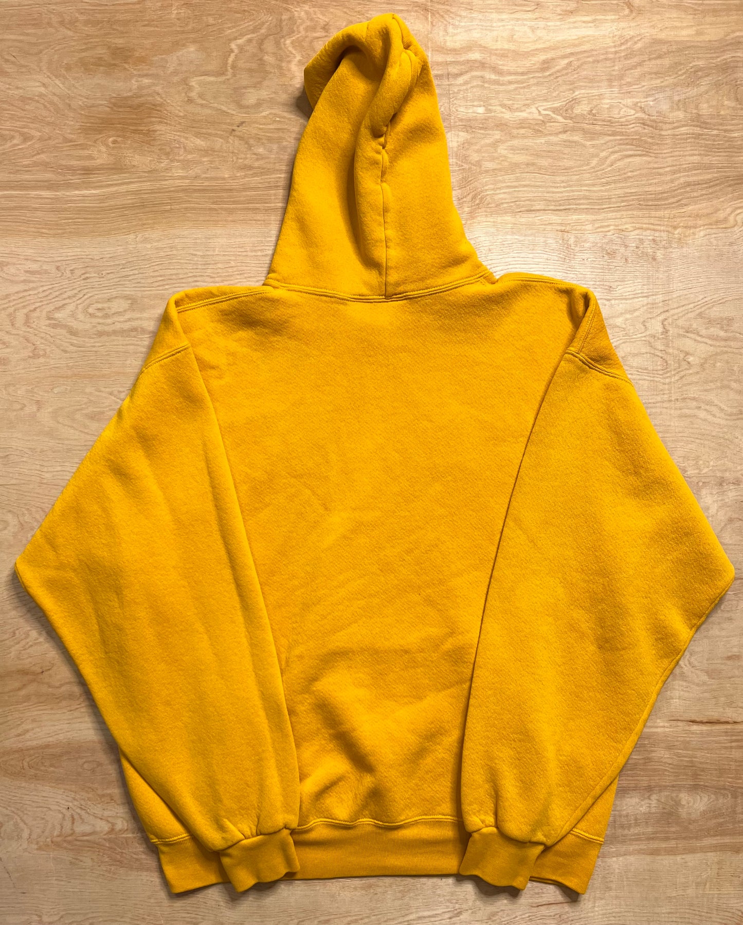 Vintage UW Oshkosh Hoodie