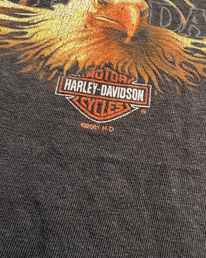 2001 Harley Davidson Eagle Manitowoc, Wisconsin T-Shirt