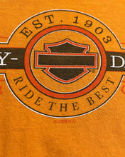 Load image into Gallery viewer, 2006 Harley Davidson Rochester, MN T-Shirt
