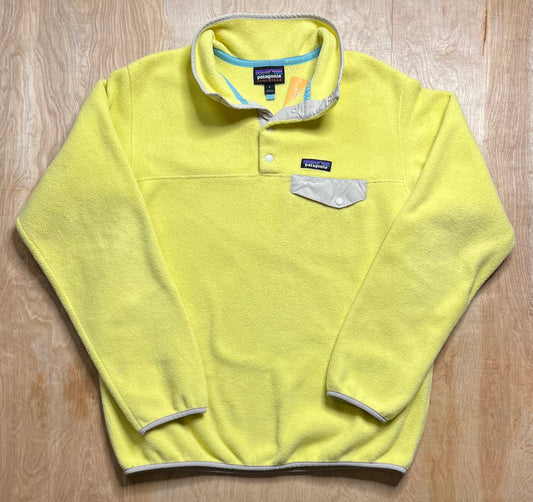 Modern Patagonia Synchilla Fleece