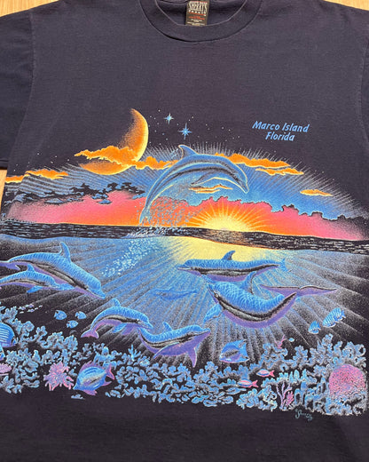 1990's Dolphins x Sunset Marco Island, Florida AOP T-Shirt