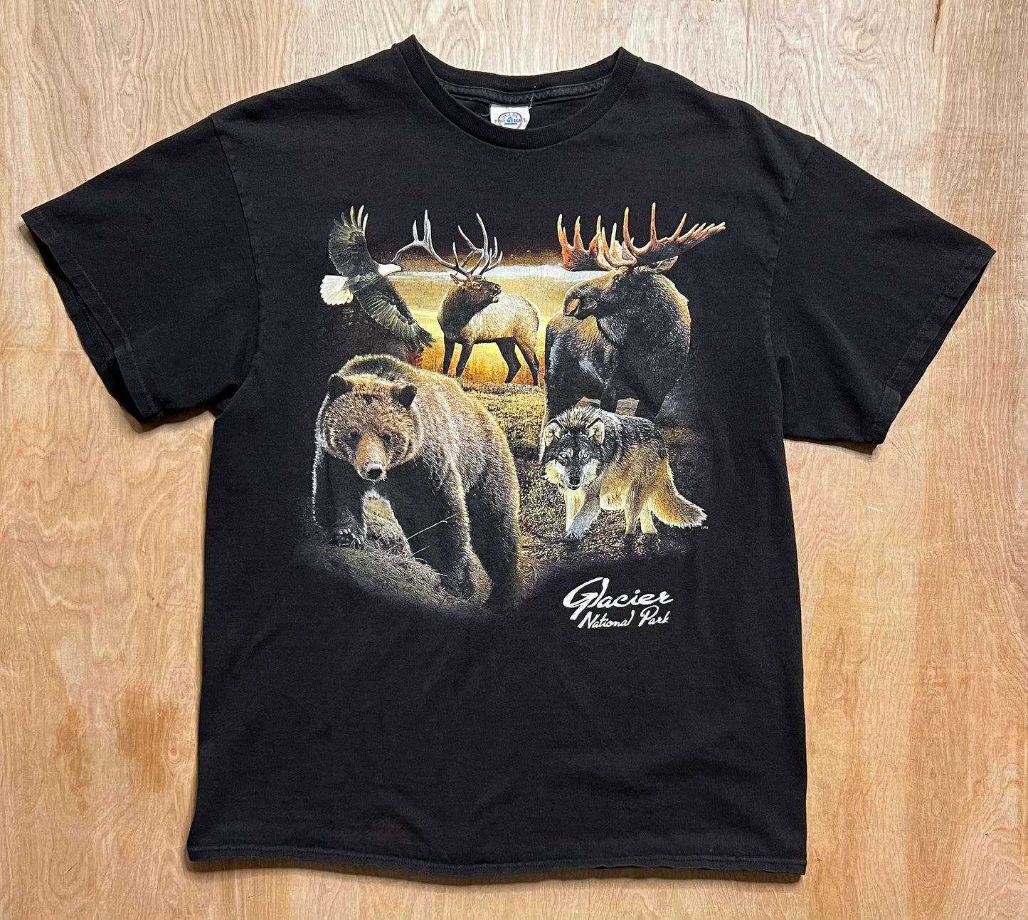 Y2K Glacier National Park T-Shirt