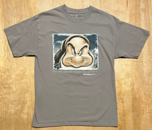 Disney World "I'm Only Grumpy On Days That End In Y" T-Shirt