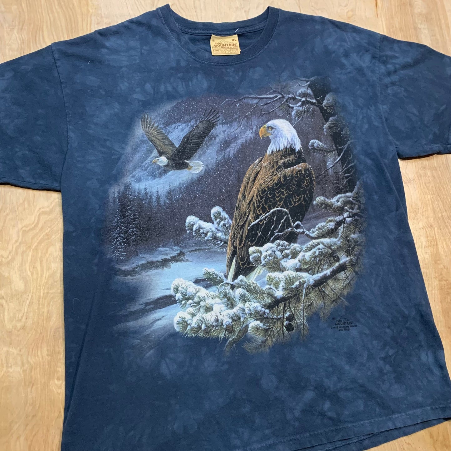 1999 The Mountains Winter Storm and Eagles T-Shirt