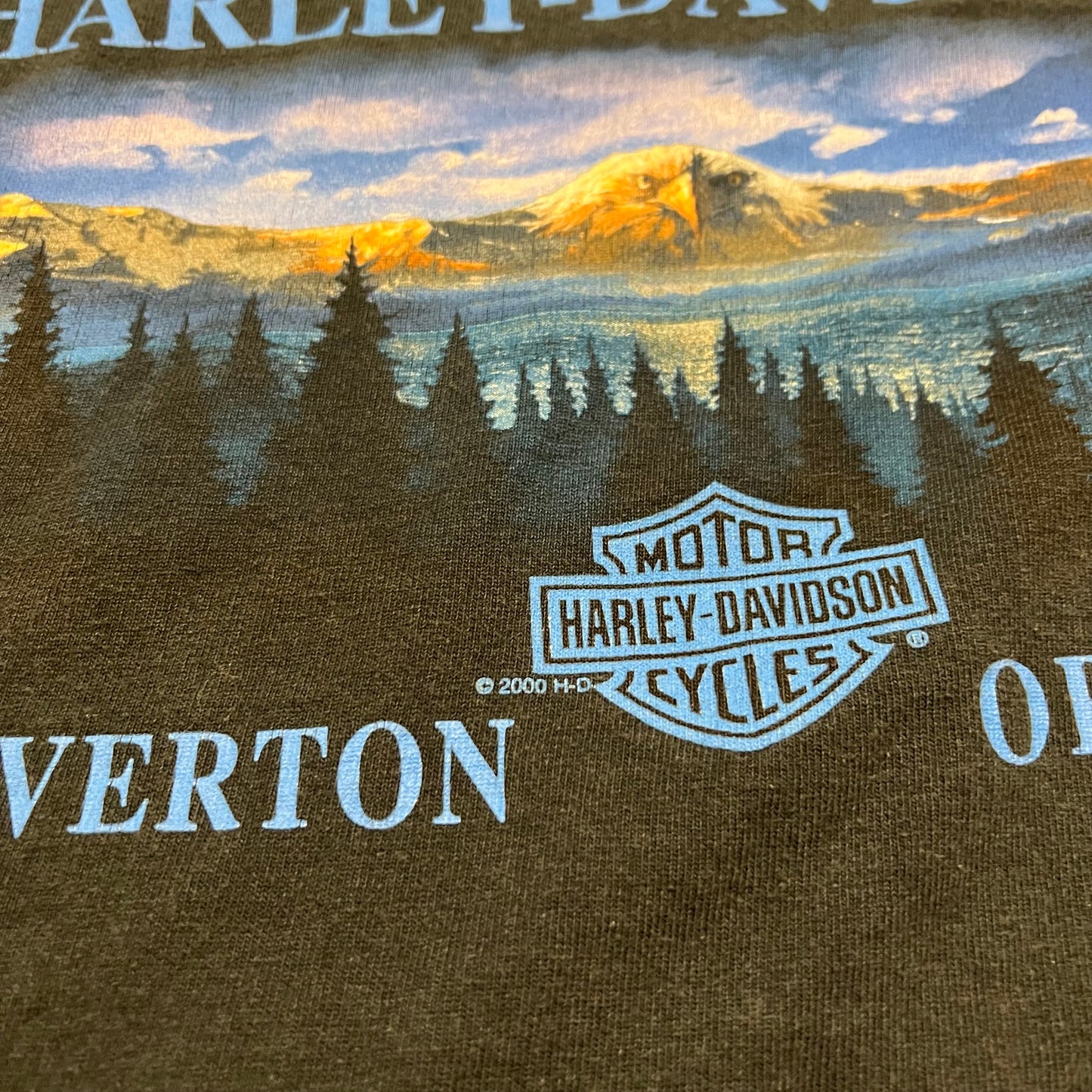 Vintage "Destination Harley Davidson" Long Sleeve Shirt