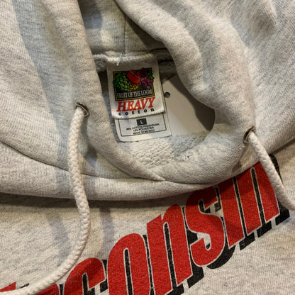 2001 Alpine Skiing Wisconsin State Championship Hoodie