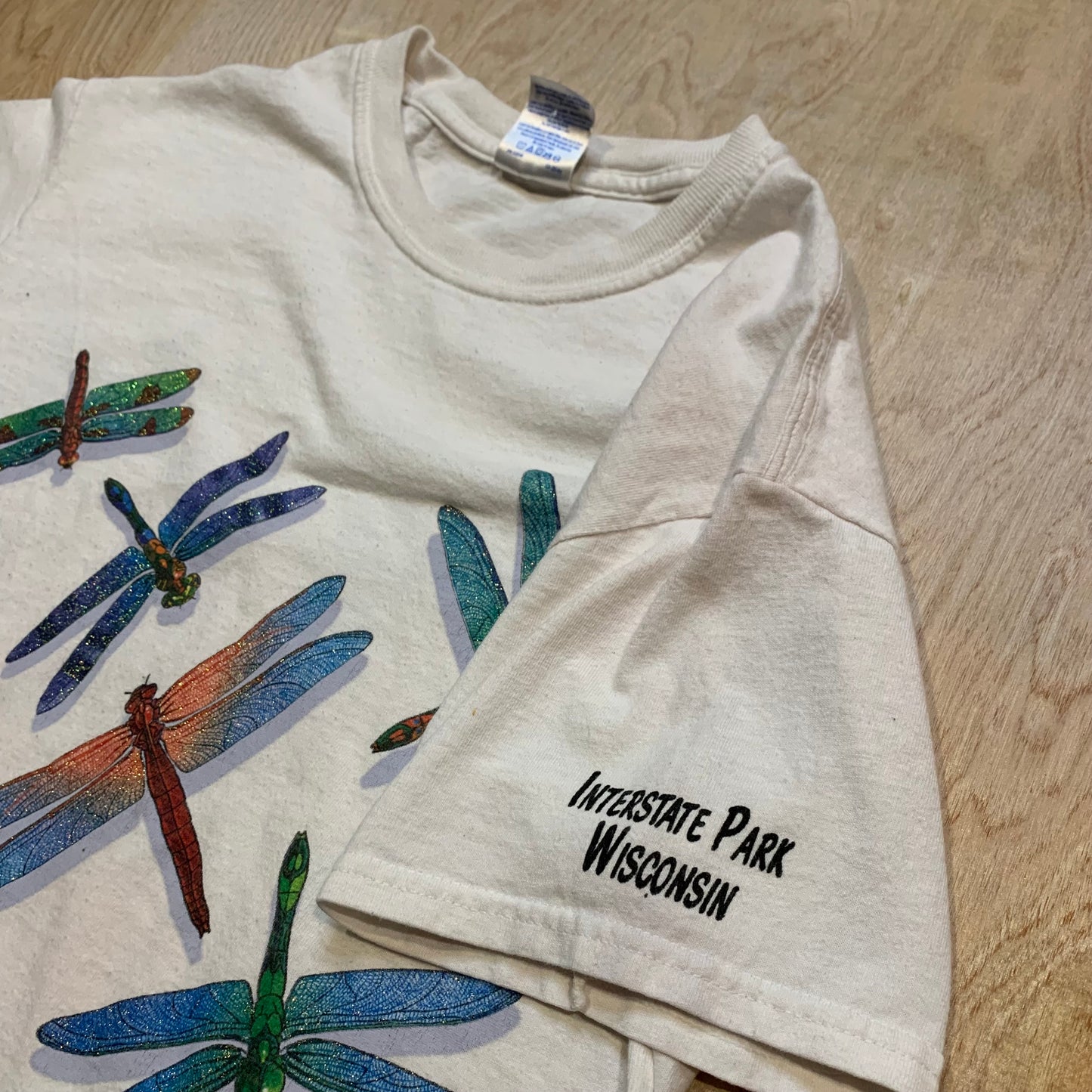 2002 Wisconsin Interstate Park Dragonfly T-Shirt