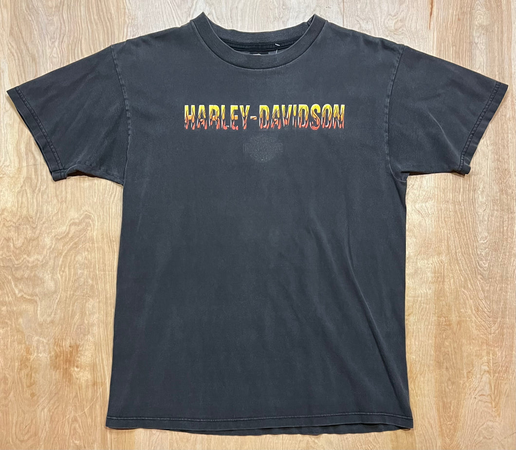 1999 Harley Davidson 