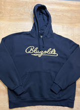 Load image into Gallery viewer, Vintage Blugolds Stitched Hoodie
