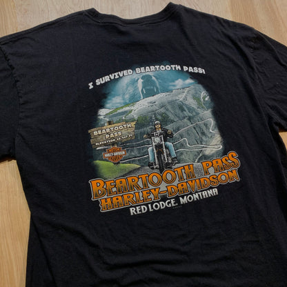 Harley Davidson Montana Beartooth Pass T-Shirt